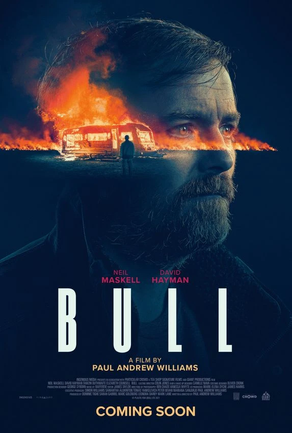 Watch Movie Bull