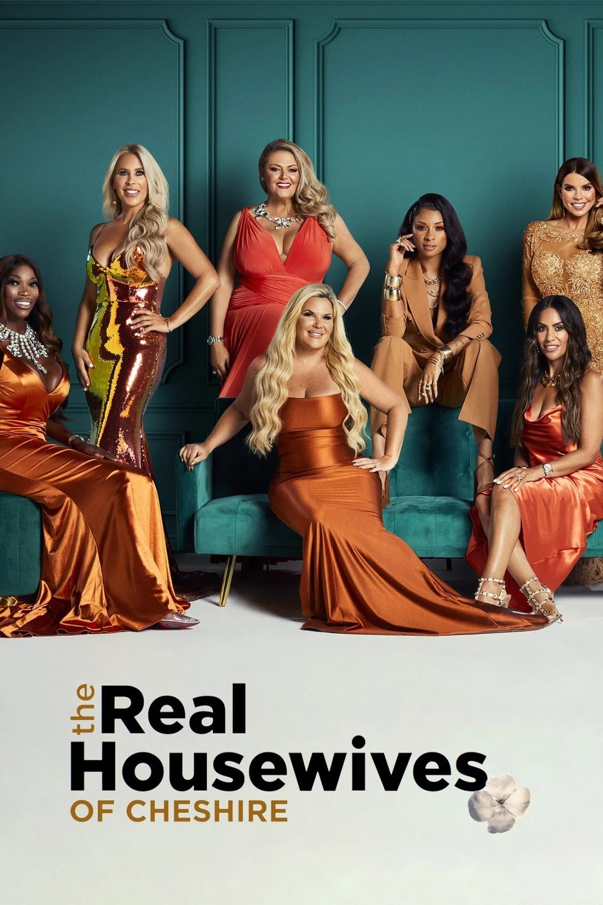 Watch Series The Real Housewives of Cheshire Season 15